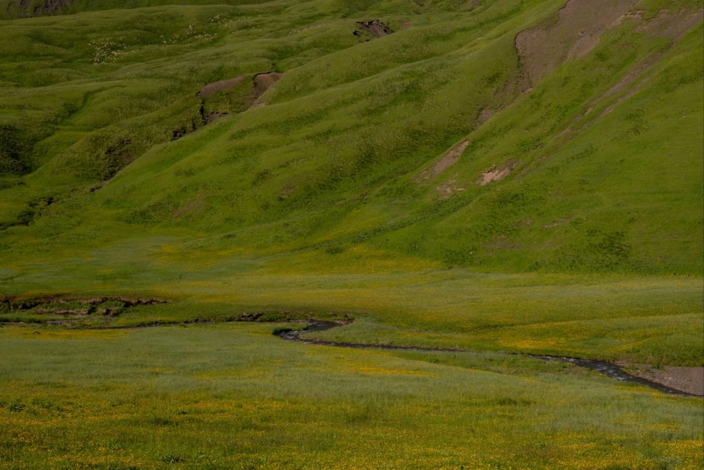 Arghuni river snaking through the meadows of Datvisjvari Pass, Khevsureti