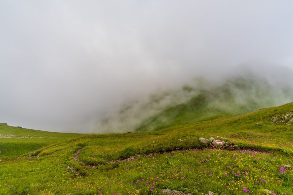 Winding path high in the Caucasus mountains of Lagodekhi Protected Areas, near to Black Rock Lake, Kakheti, Georgia