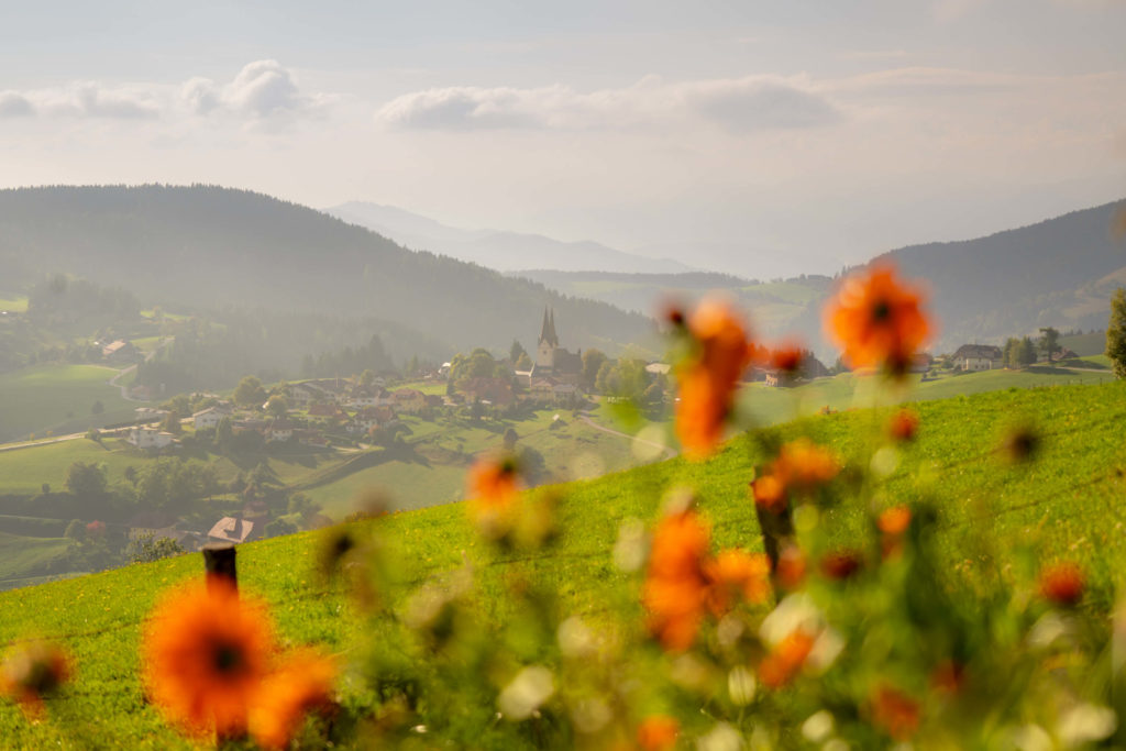 Diex on a beautiful green early autumn day with flowers in the foreground, Carinthia