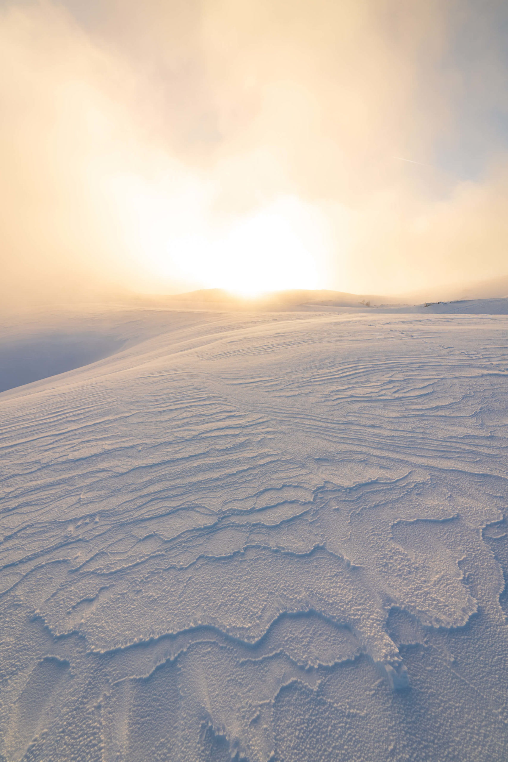 Golden afternoon light and thick winter fog at Dobratsch Natural Park with beautiful snow and ice patterns from the harsh cold wind, Villach, Carinthia