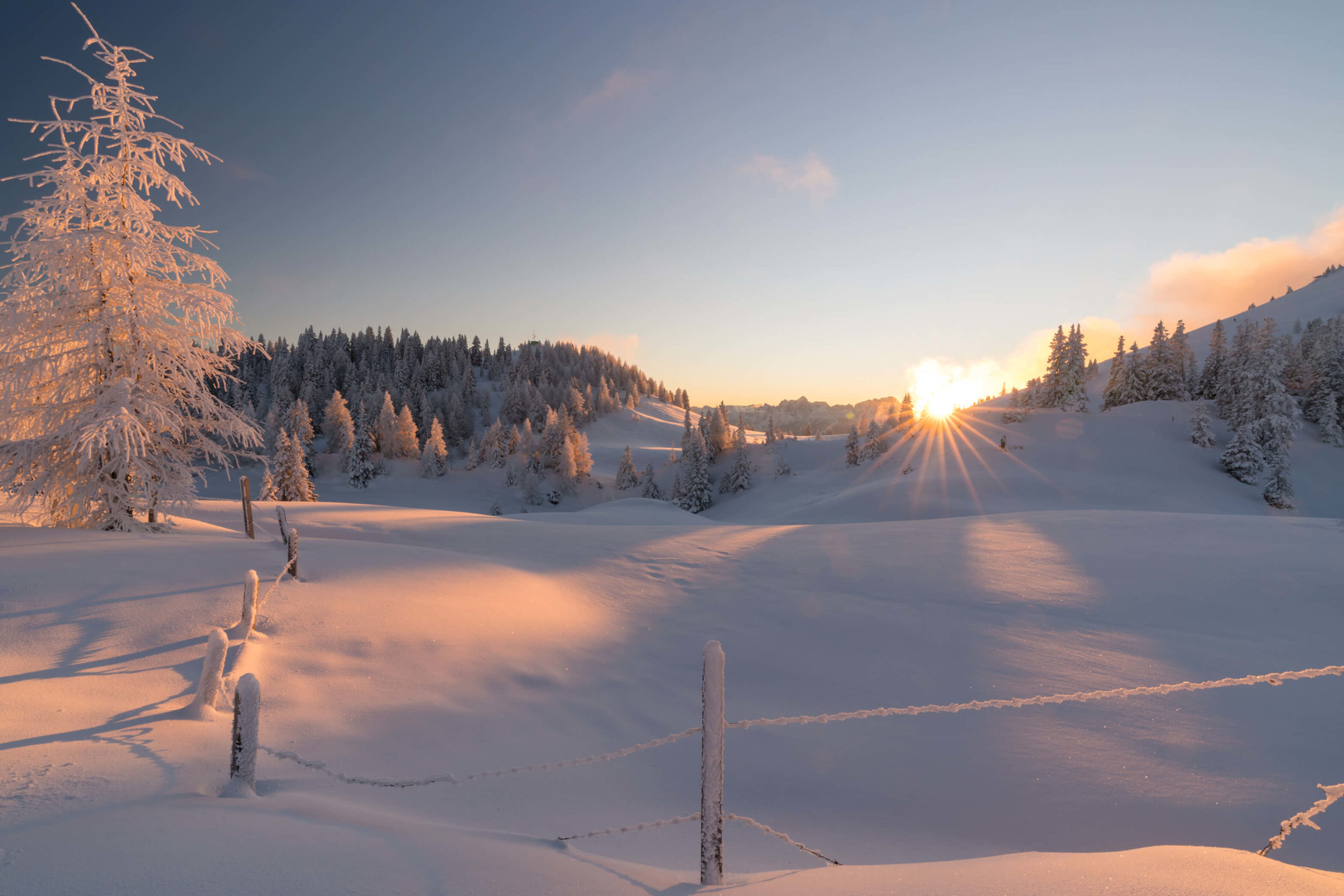 Magical white winter sunset at Dobratsch Natural Park with untouched snow and frost covered pine trees, Villach