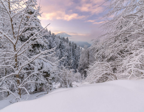 The most beautiful winter hiking trails in Carinthia: Part 1