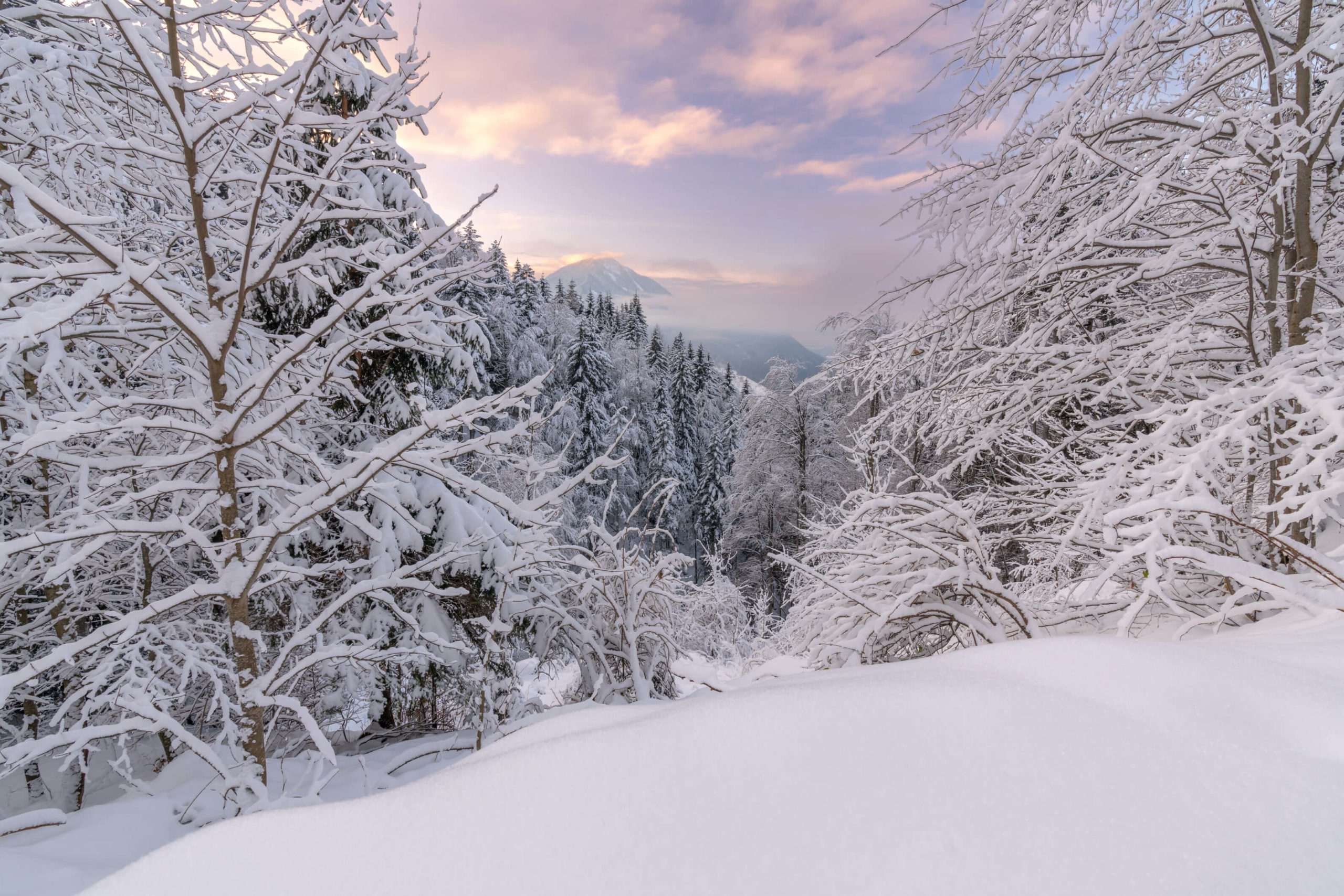 The most beautiful winter hiking trails in Carinthia: Part 1