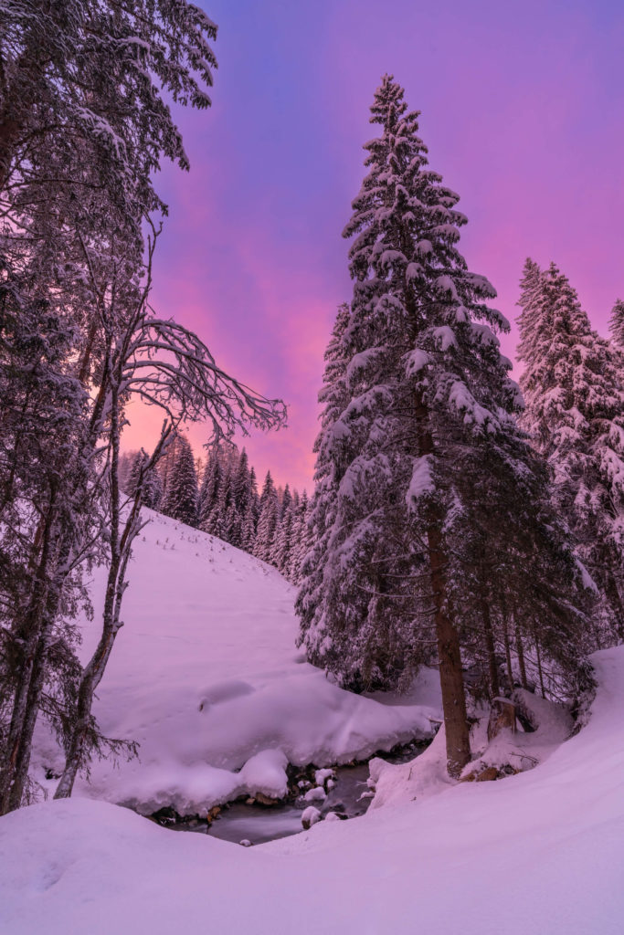 Pink and purple winter sunset by a stream in the snowy landscape of Bad Kleinkirchheim, Carinthia