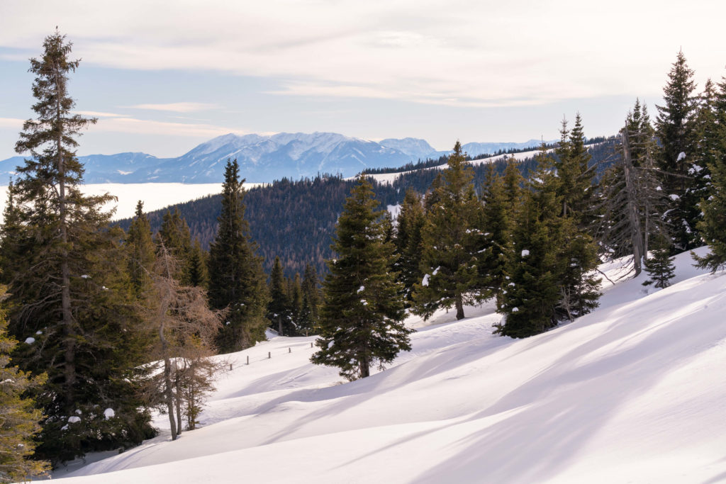 Saualpe snow covered landscape, Lavanttal, Carinthia