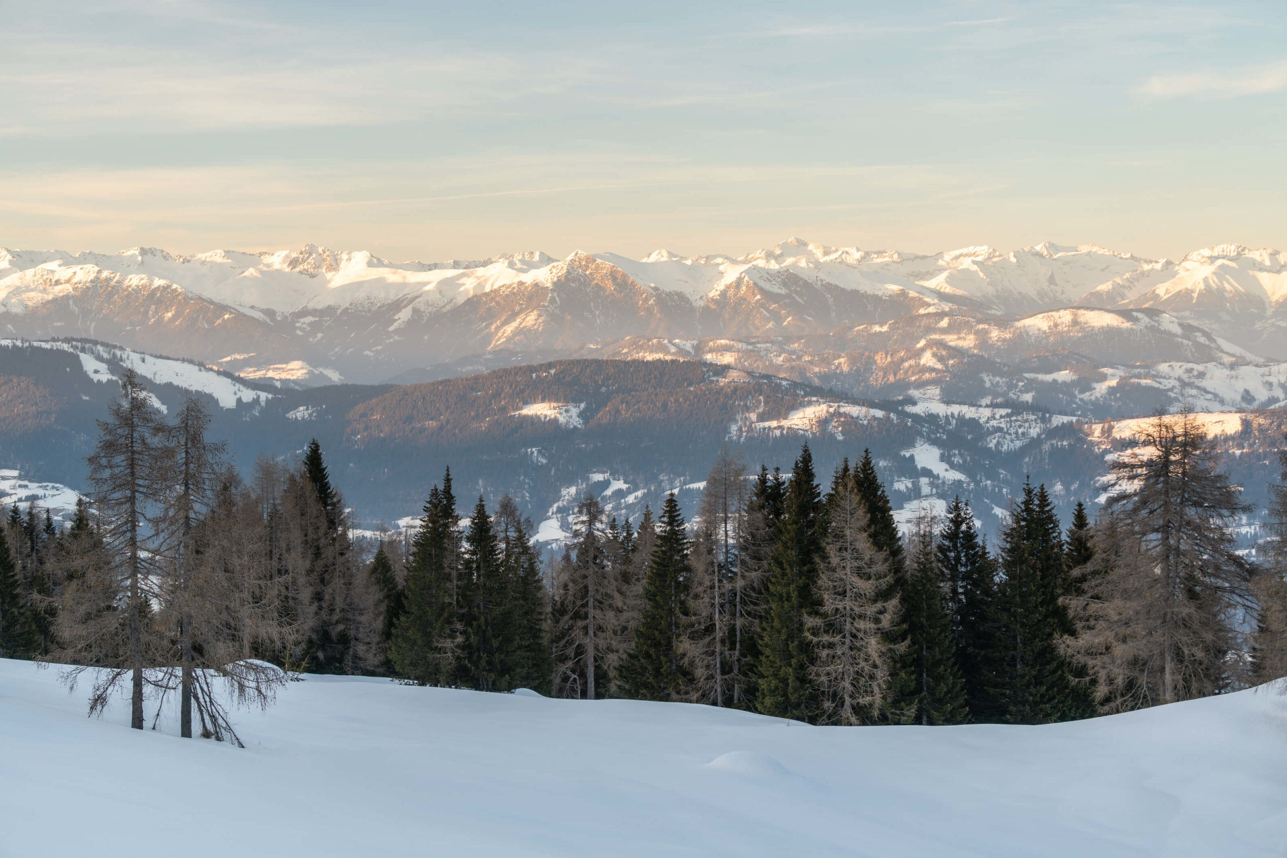 Snow covered mountains with line of trees from Nassfeld, Carinthia