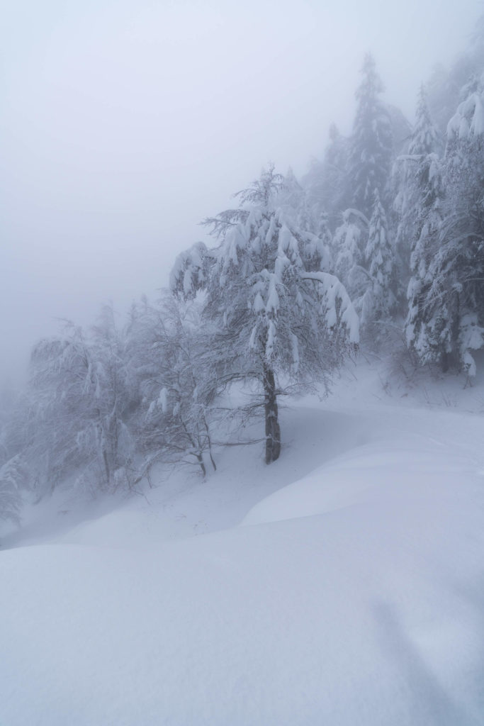 Thick fog on a winter hiking path near Zell Pfarre, Carinthia