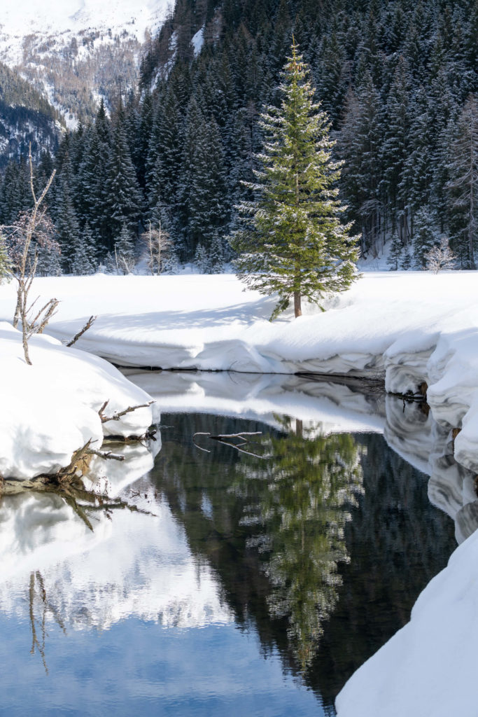 Tree reflecting in the river Seebach surrounded by snow, Seebachtal, Mallnitz, Carinthia