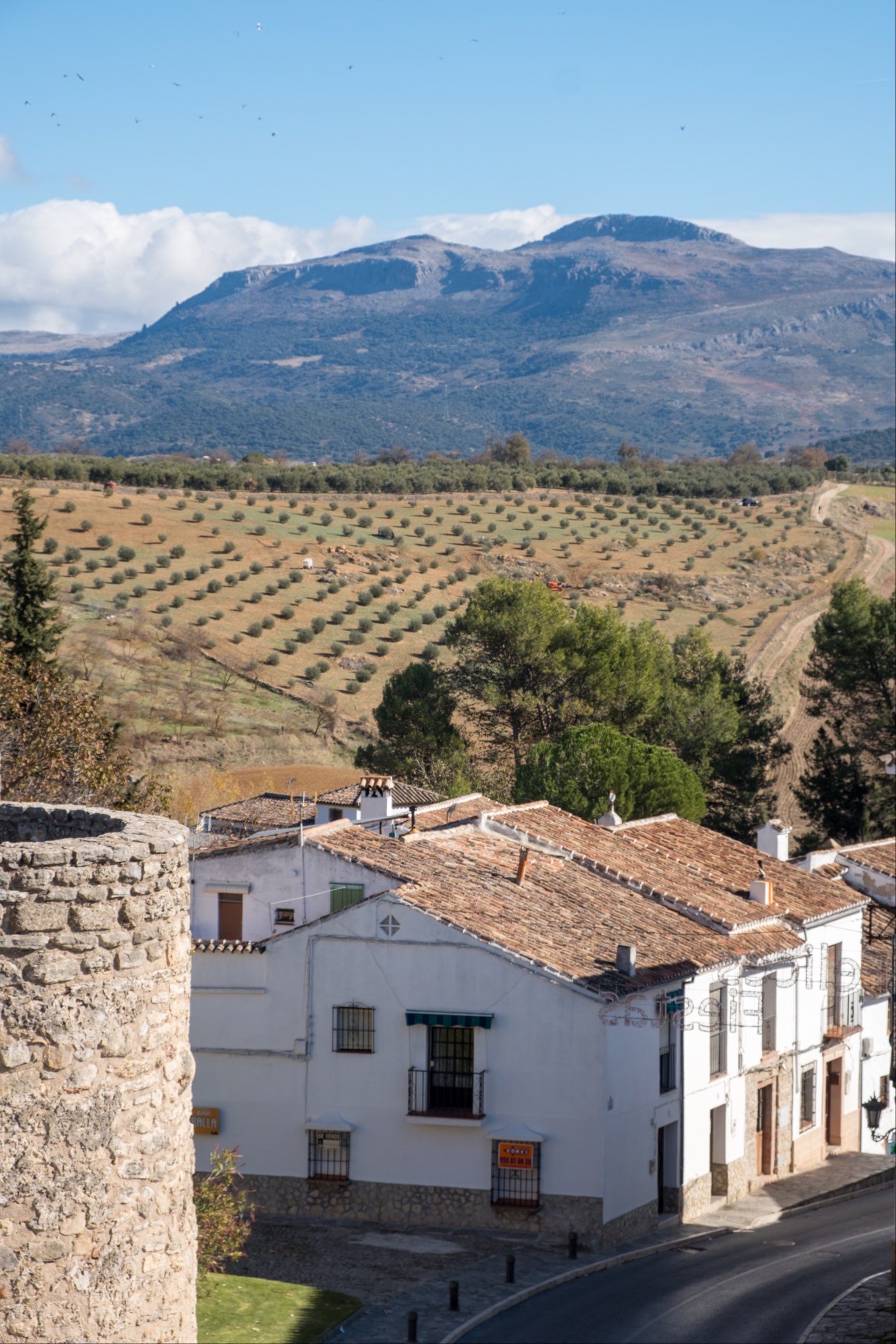 Sierra Nevada mountains and whitewashed houses in Ronda