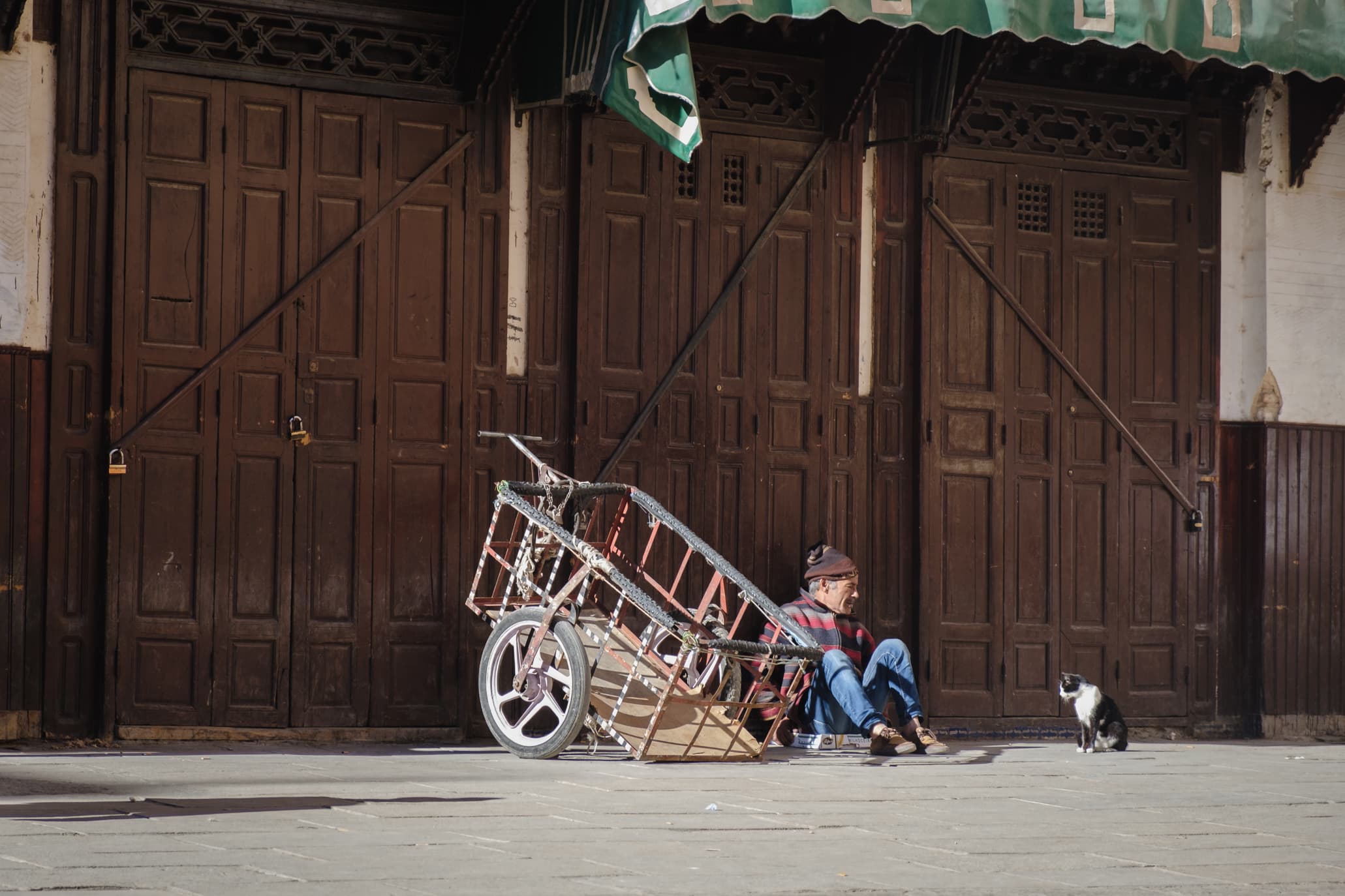 A man sitting on the floor looking at a cat in Fez