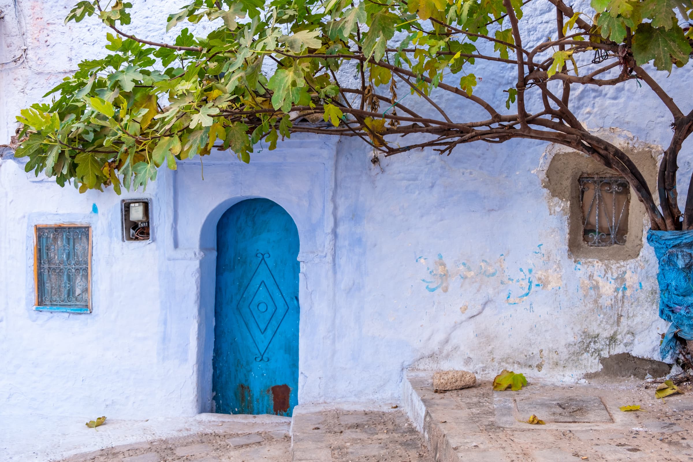 A medieval doorway and old tree, Chefchaouen, Morocco