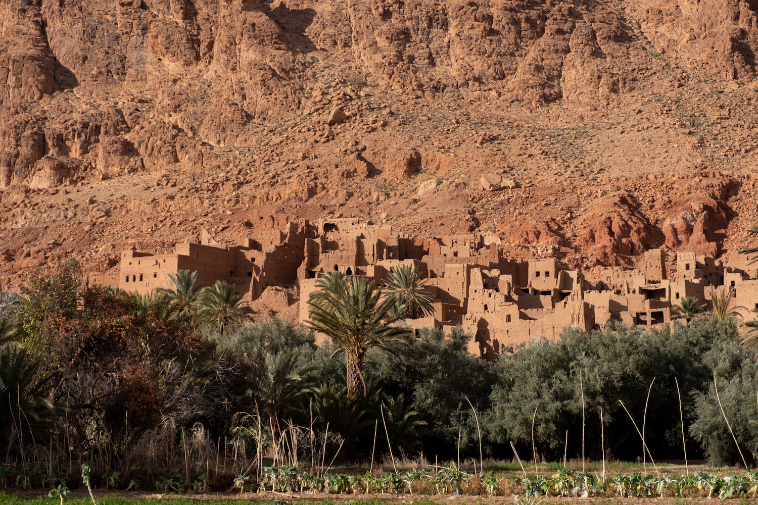 A old Kasbah below the steep valley wall near Tinghir