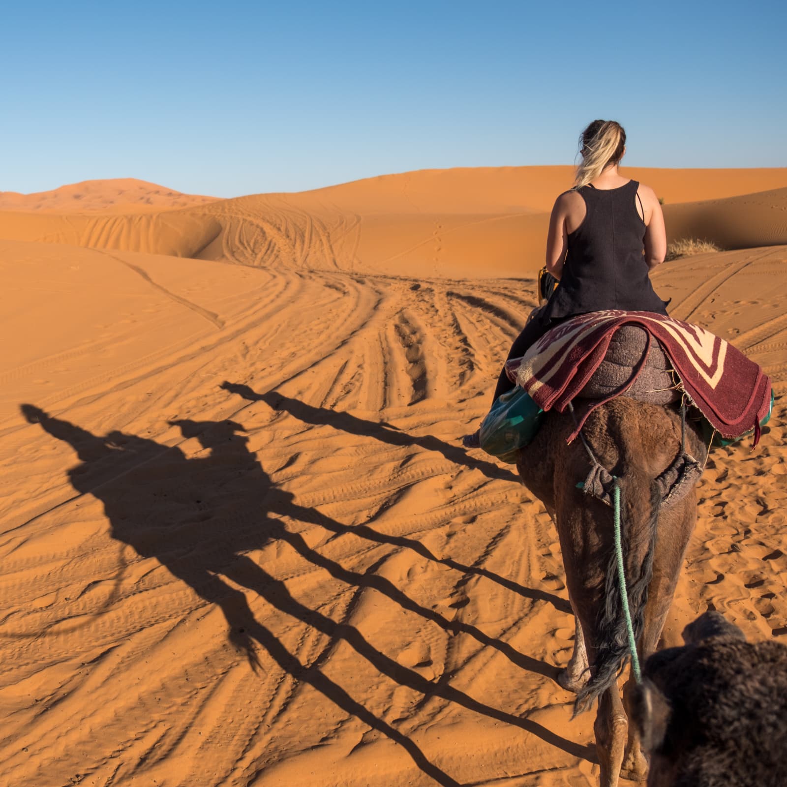 Caroline riding a camel from Merzouga