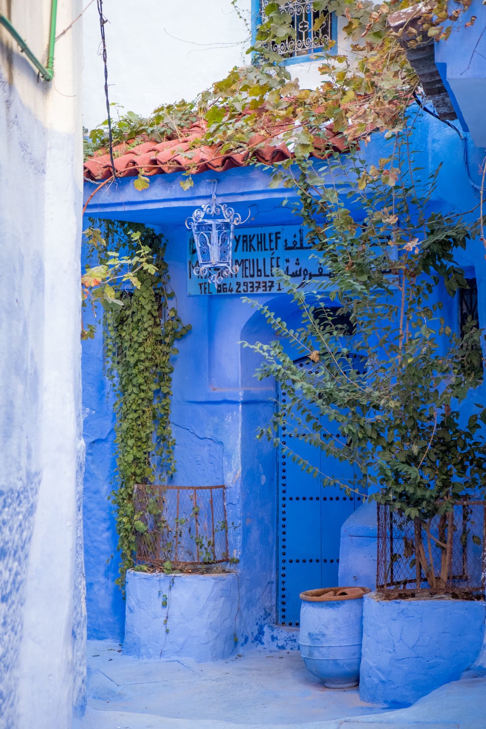 A romantic home entrance surrounded by greenery, Chefchaouen, Morocco