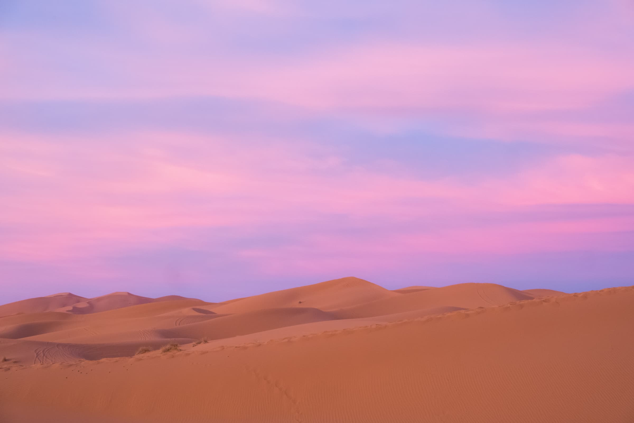 Pink sunrise in the Sahara desert