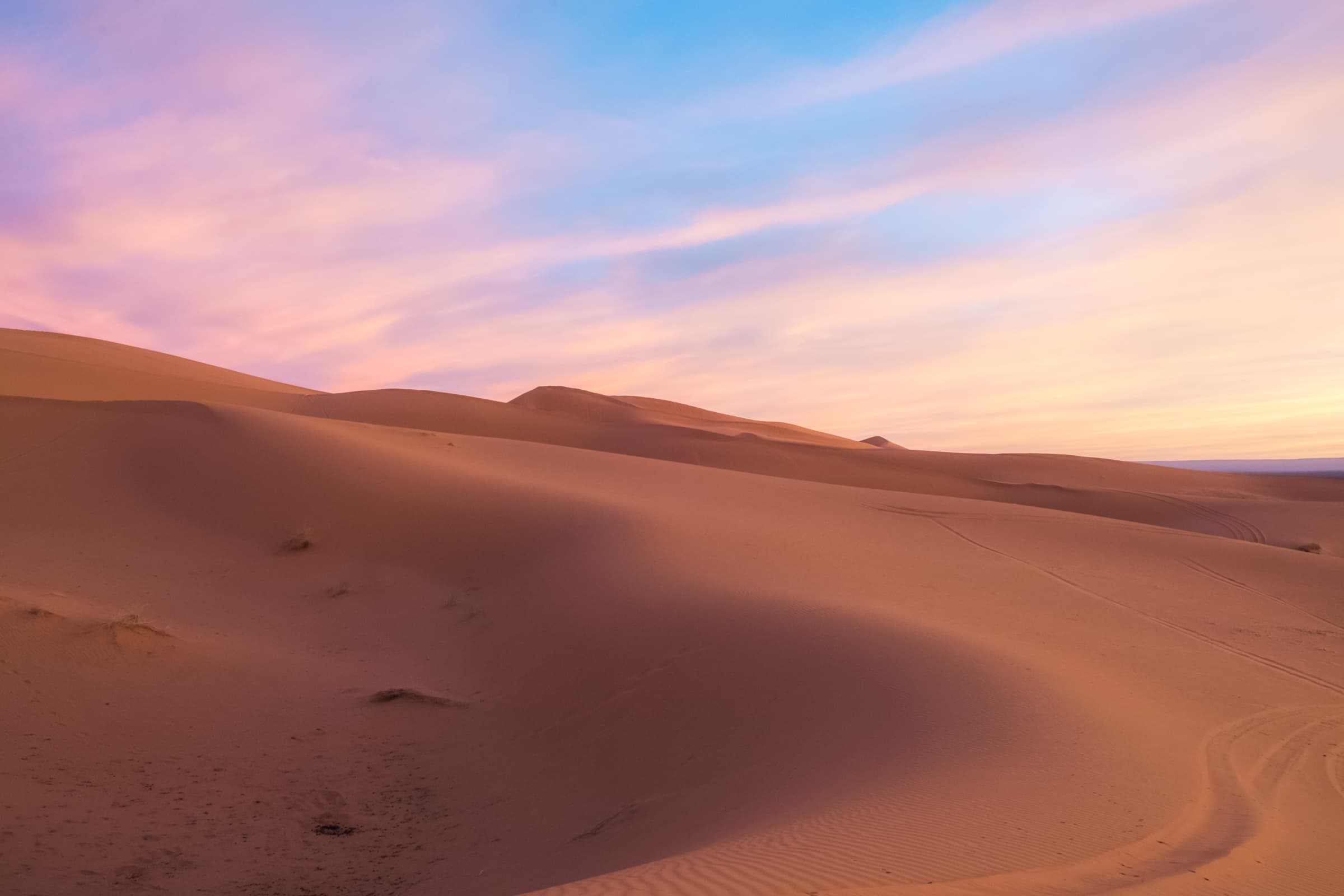 Pink sunrise in the Sahara desert