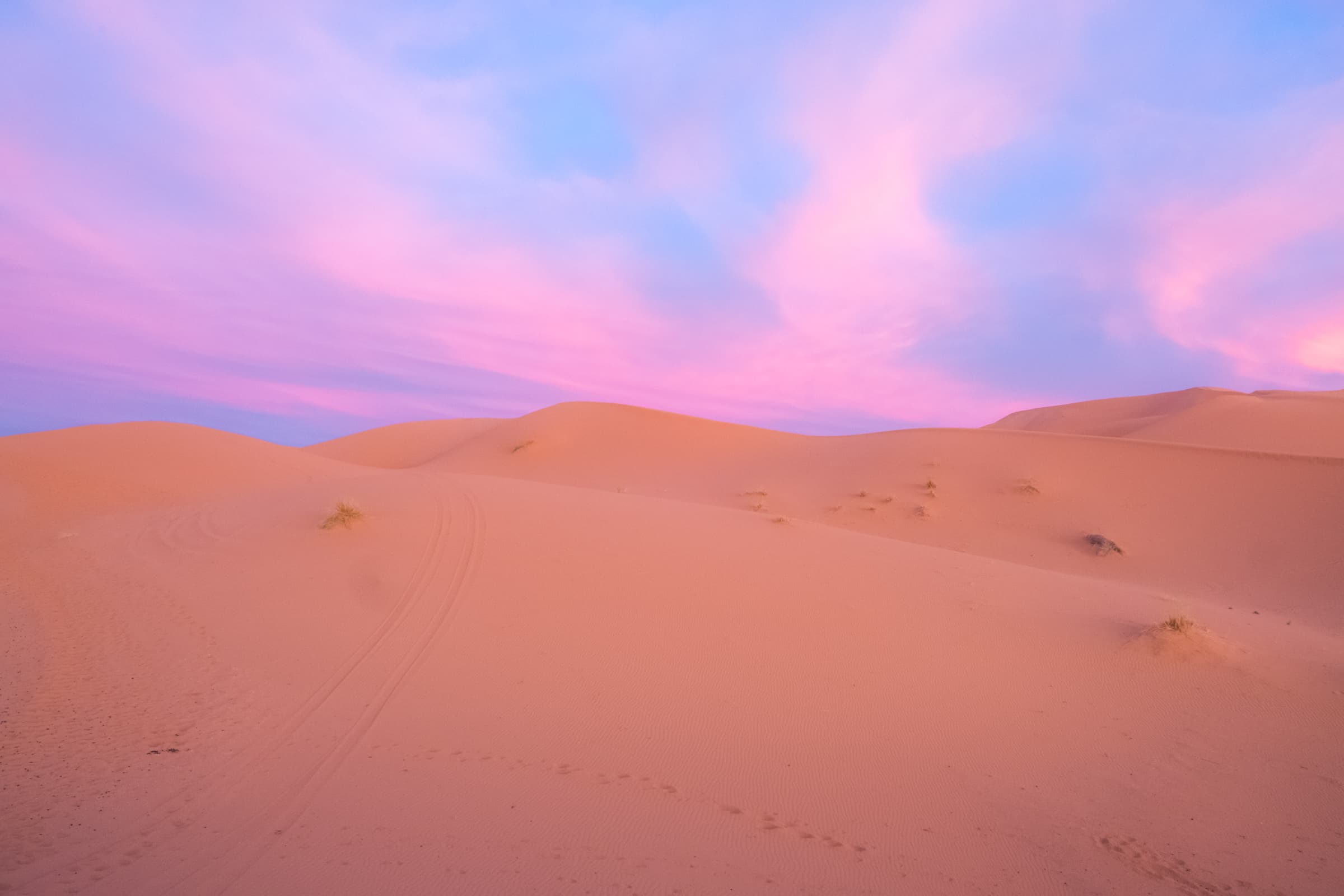 Pink sunrise in the Sahara desert