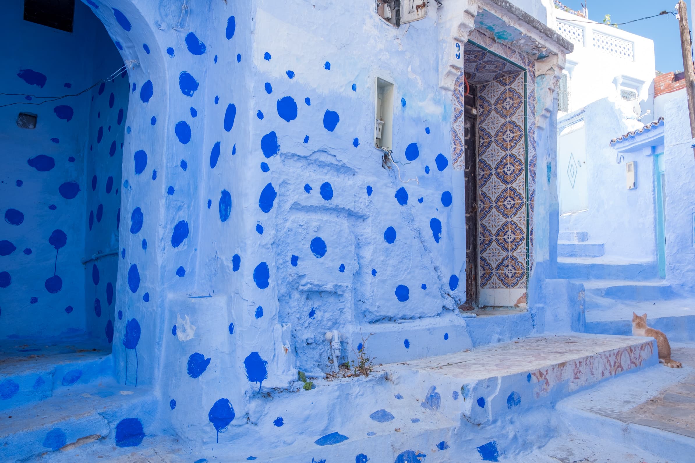 A beautiful polka dot street with cat in Chefchaouen, Morocco
