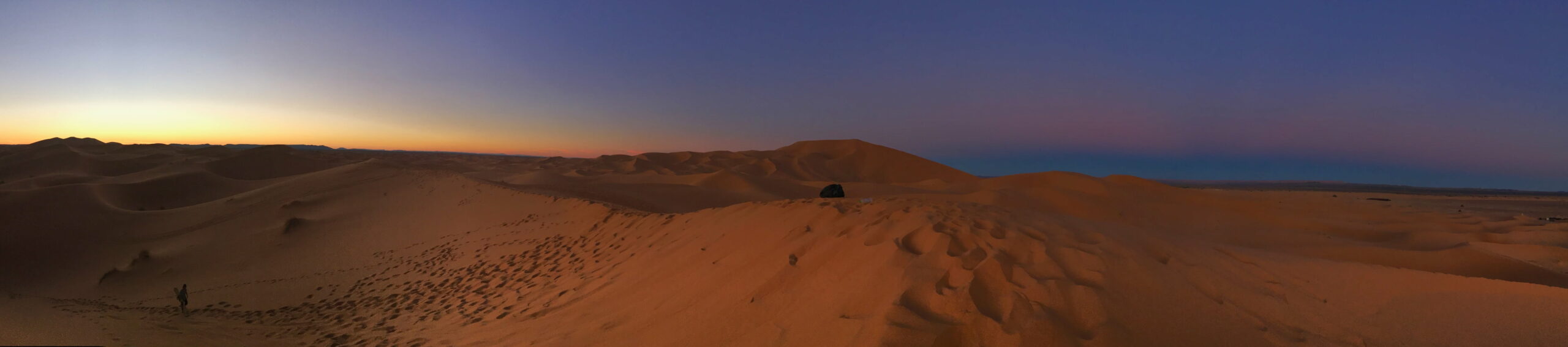Sahara desert sunset panorama