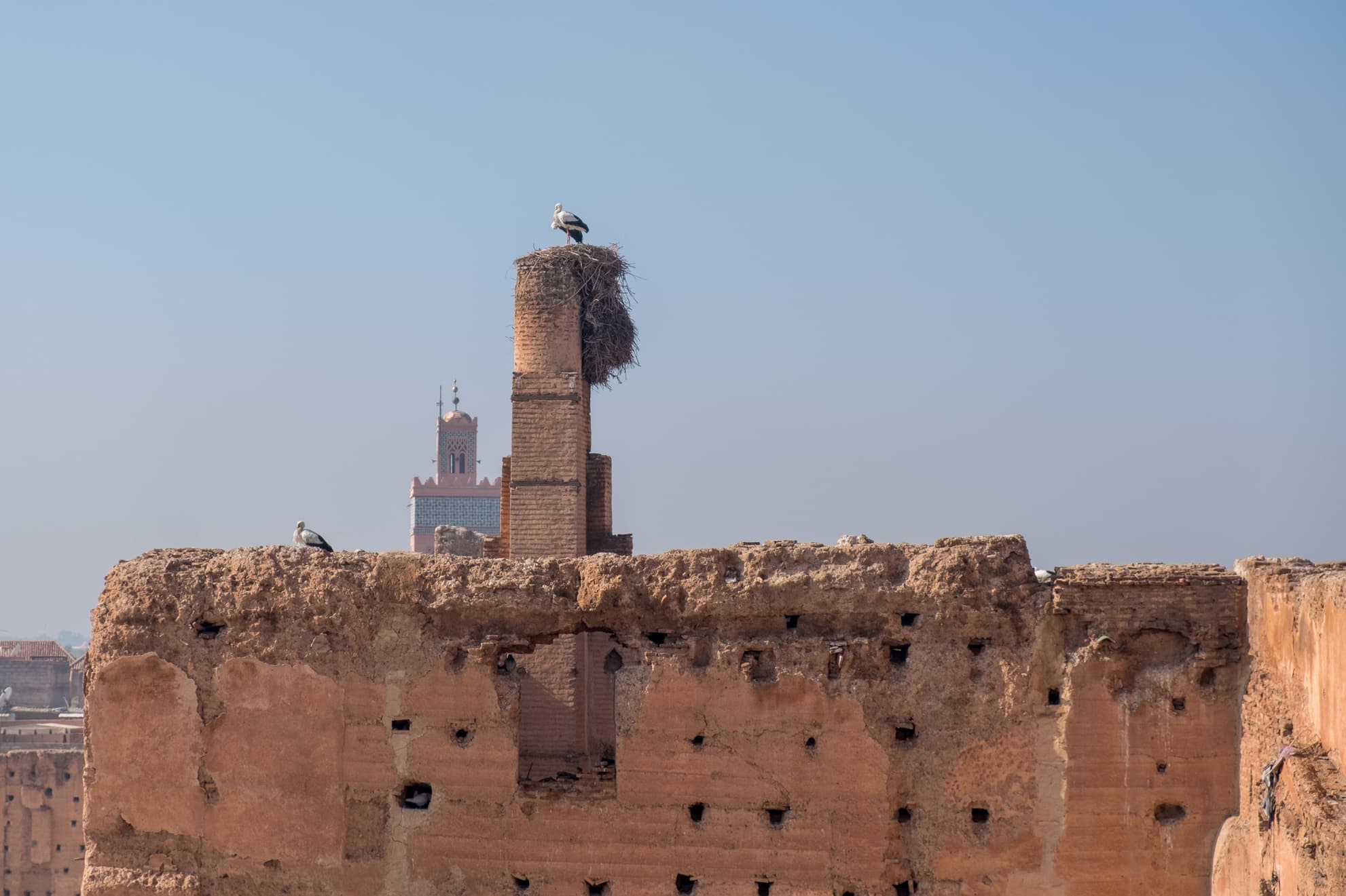 Storks and a minaret from El Badi palace