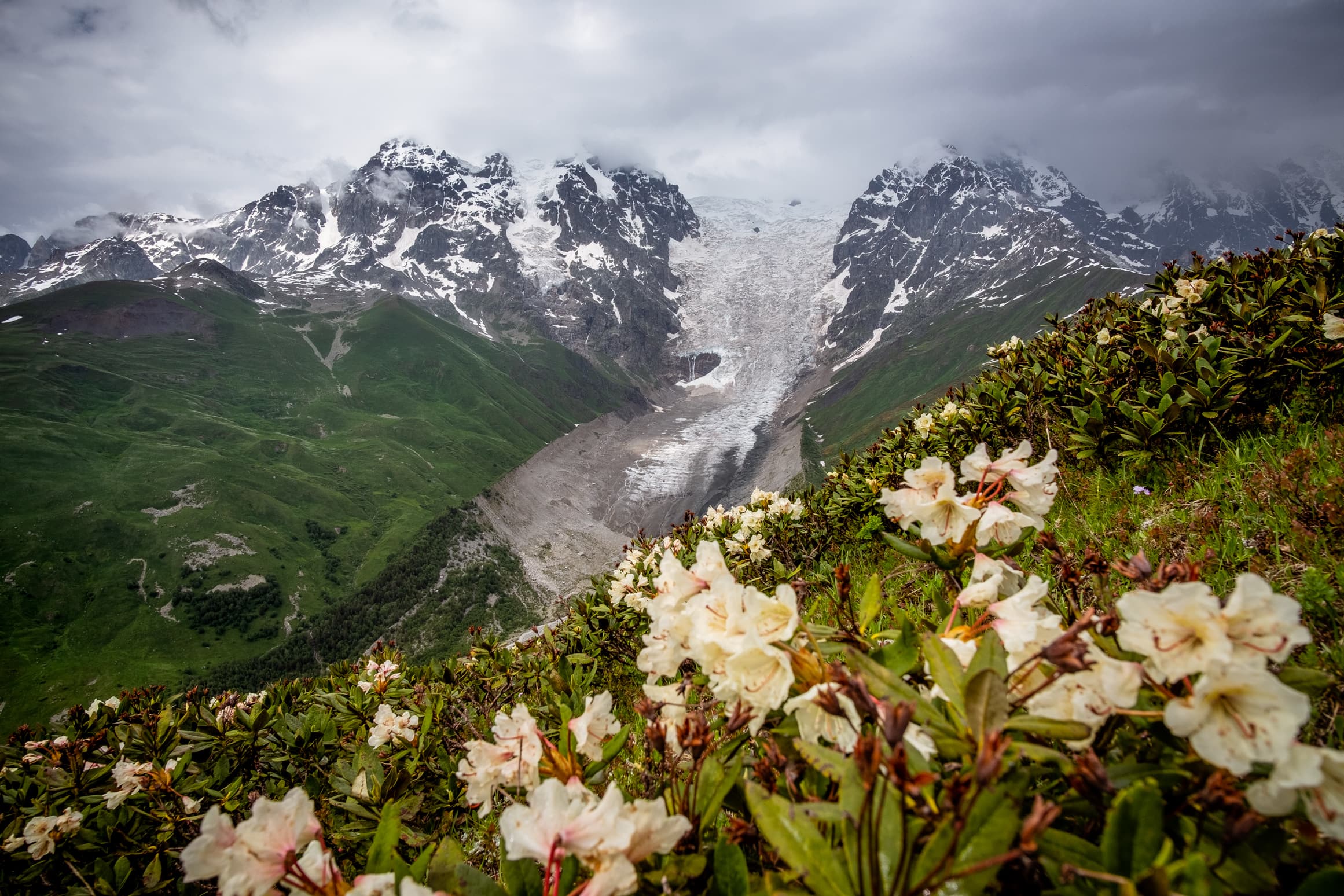 Adishi Glacier in the spring framed with white rhododendron flowers, Svaneti, Georgia