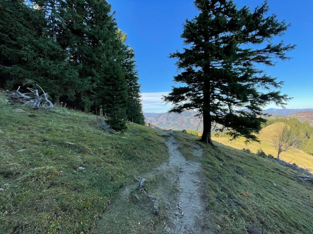 Fadenweg trail with sunny autumnal views