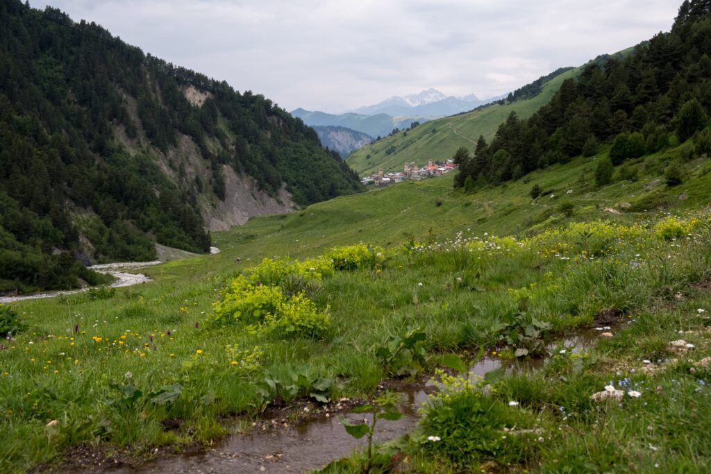 A hiking path turned stream on the walk to Chkhunderi pass, looking back on Adishi