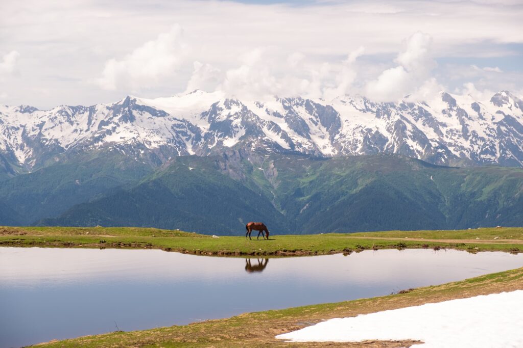 A horse eating grass by the lake with snowy mountain range in the background