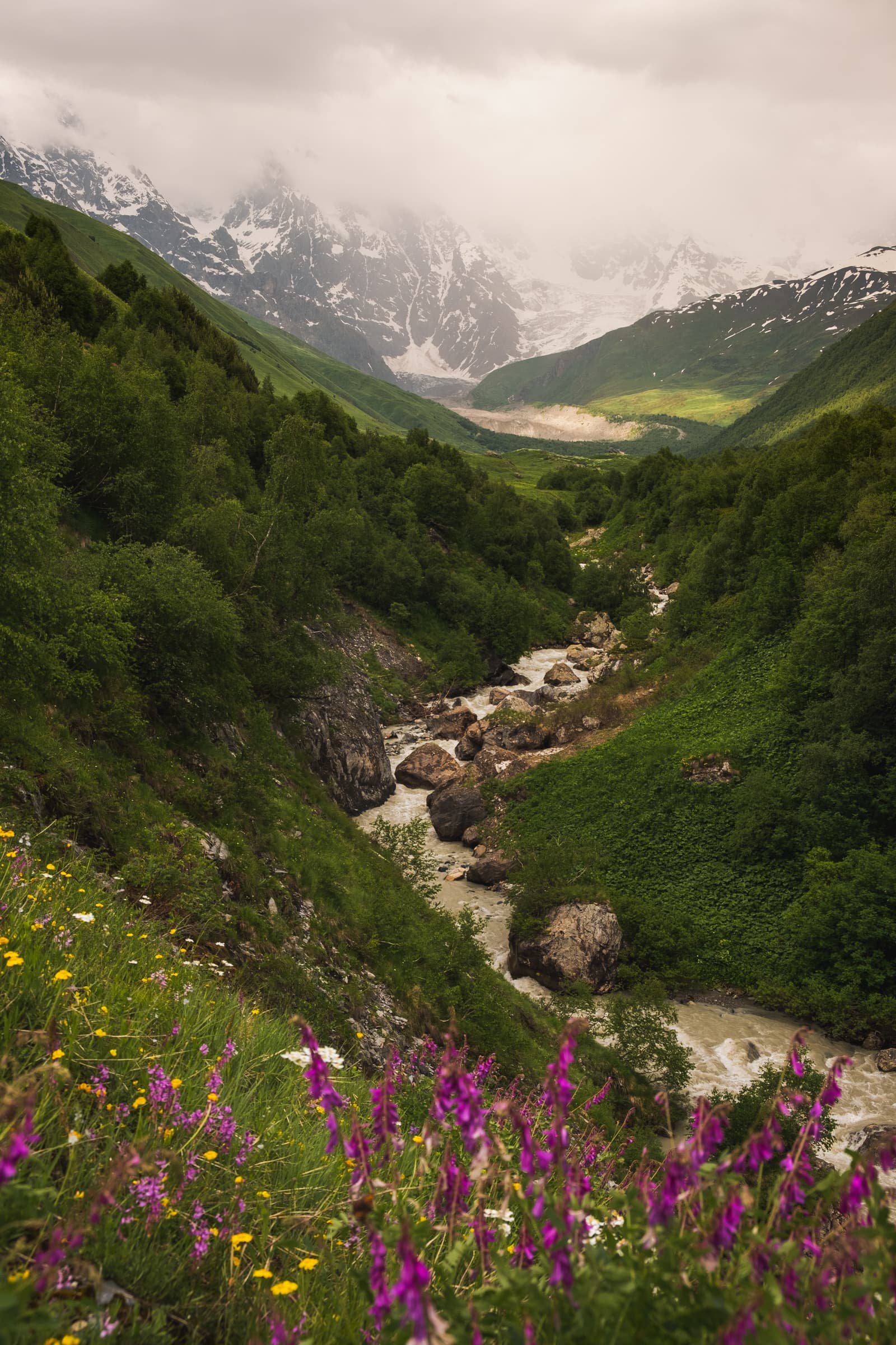 Khaldechala river and valley with towering Caucasus peaks and glaciers behind on a moody summers day, Svaneti, Georgia
