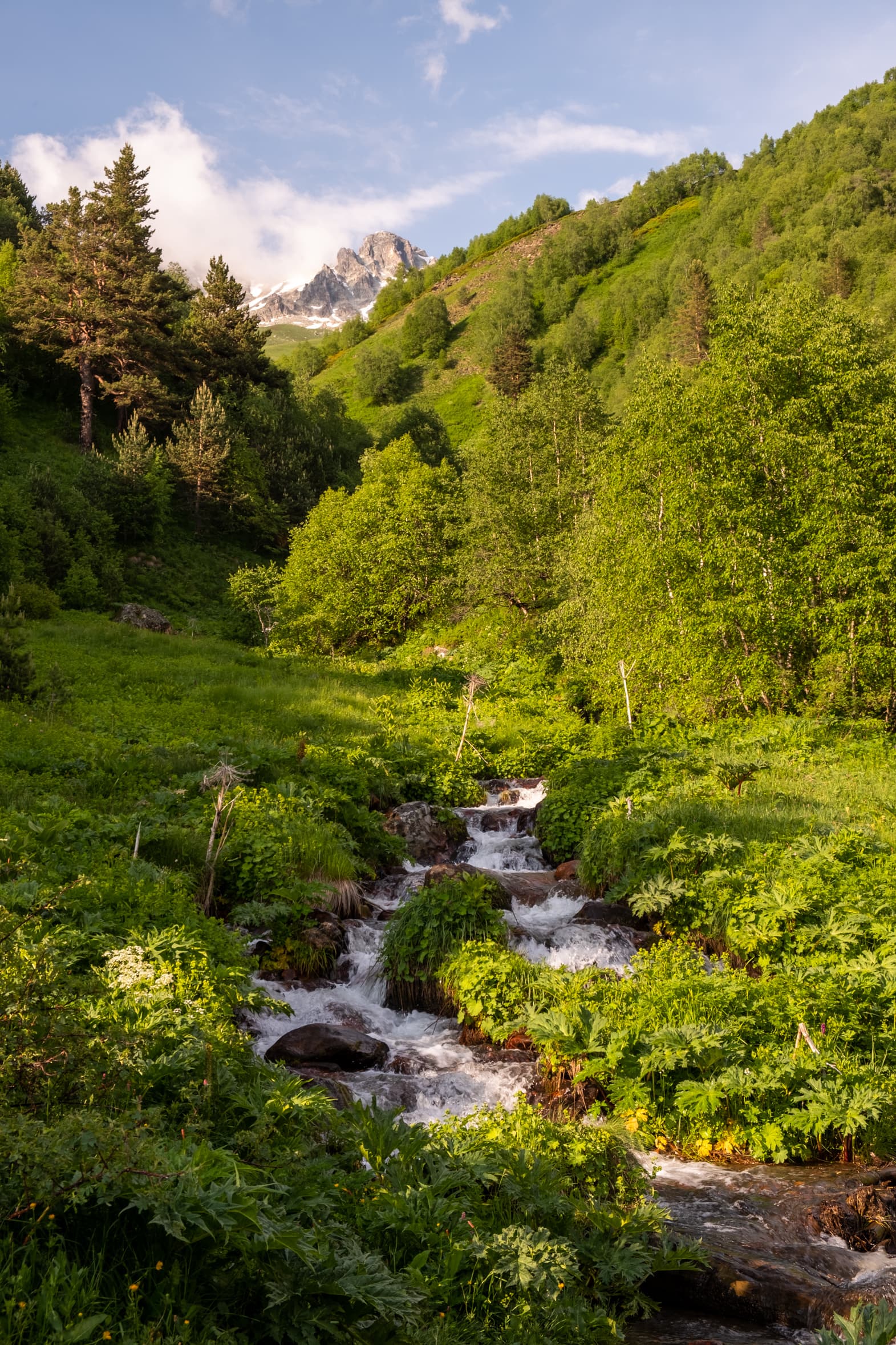 A romantic stream surrounded by greenery leading to a rocky peak in golden light