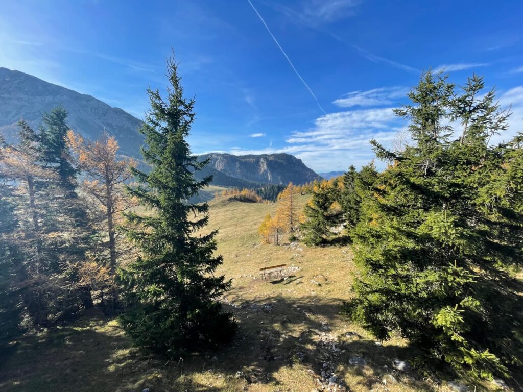 Sunny autumn views near Edelweißhütte on Schneeberg