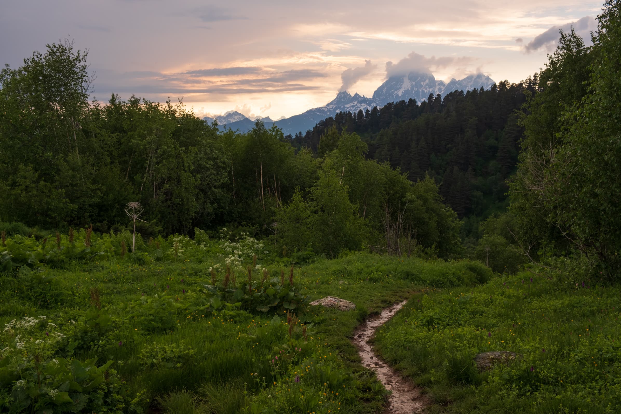 Sunset over mount Ushba from a wet forest trail, Svaneti
