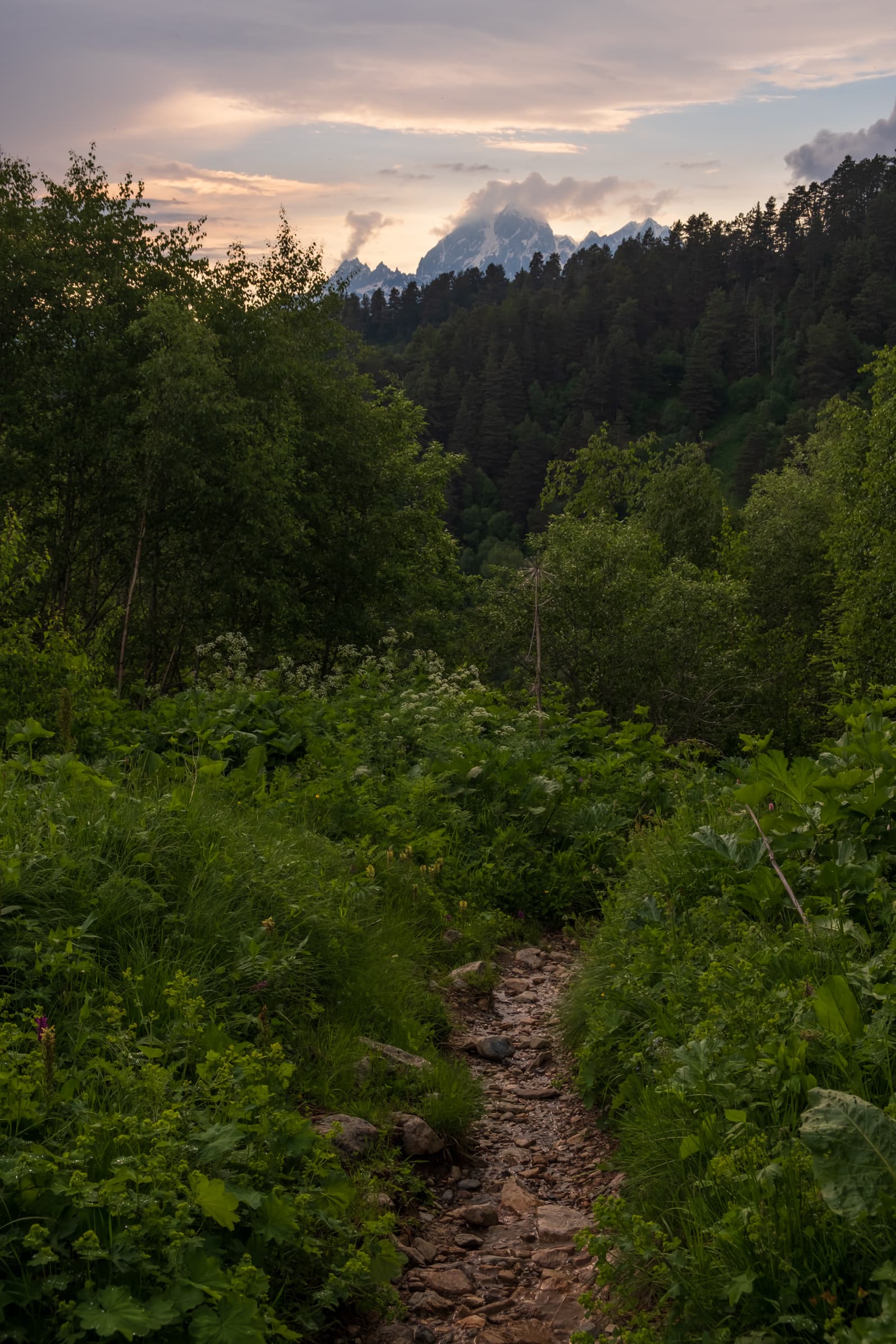Sunset over mount Ushba from forest trail, Svaneti