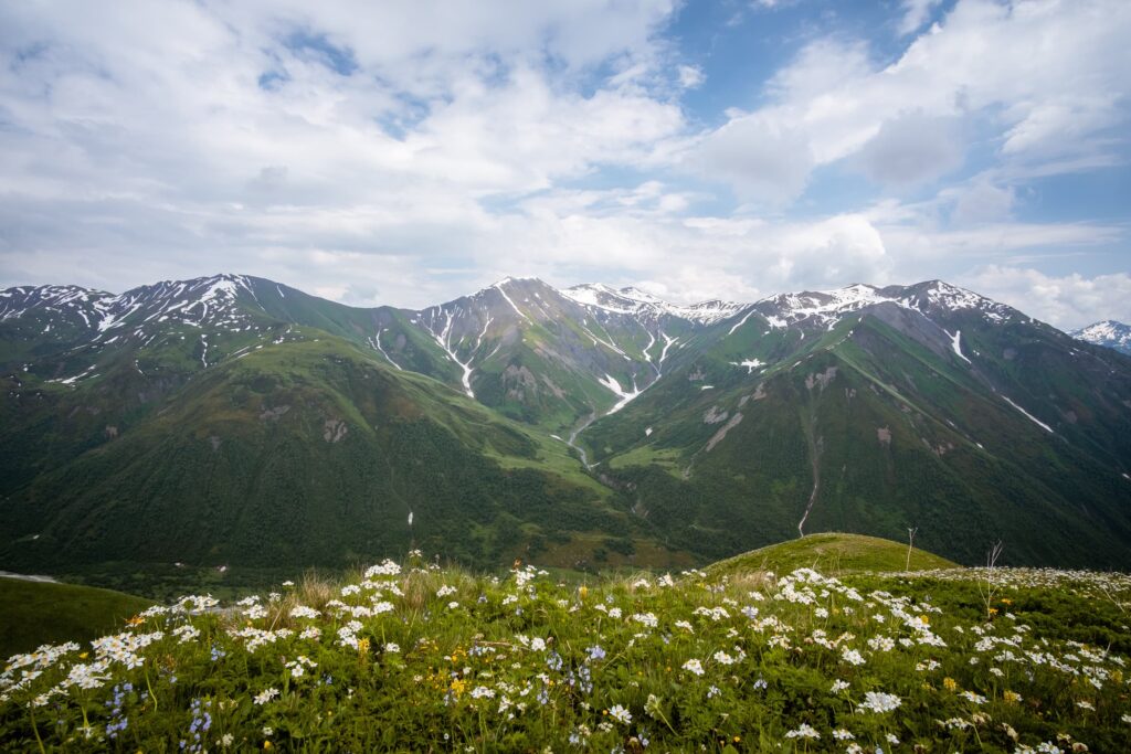 Lush green forests and wildflowers with imposing snow capped mountain peaks from Chkhunderi pass