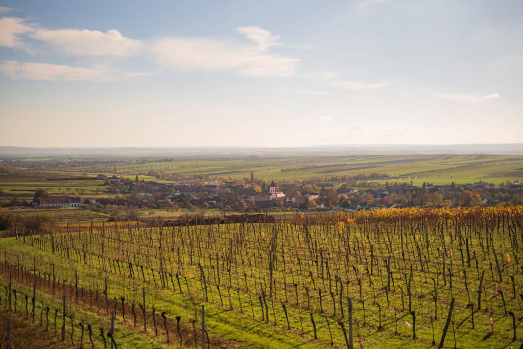 Looking over bare vineyards towards Mitterretzbach on an autumn day