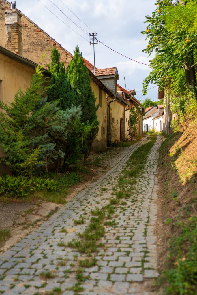 Cobbled Boindlfeld Kellergasse in Pillichsdorf