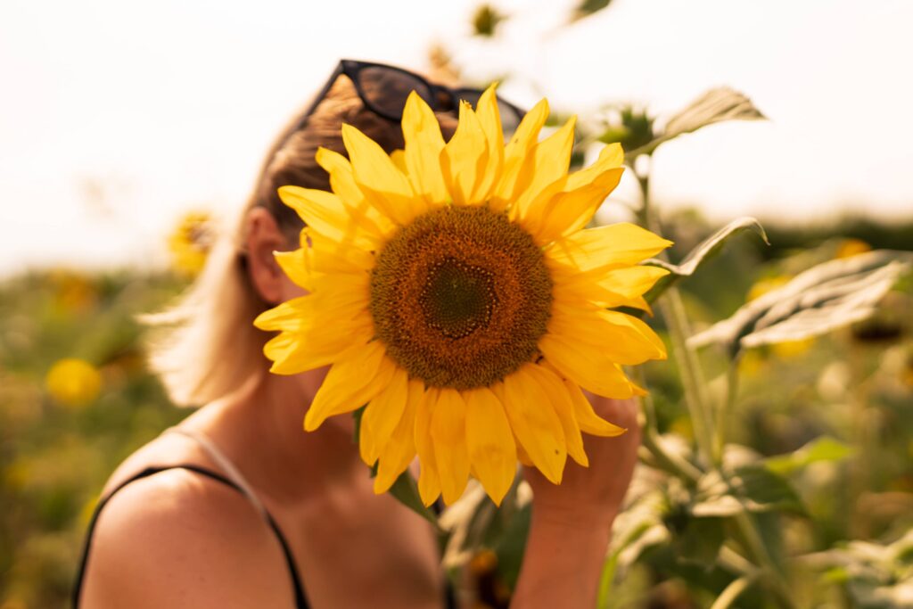 Caroline hiding behind a sunflower in Pillichsdorf