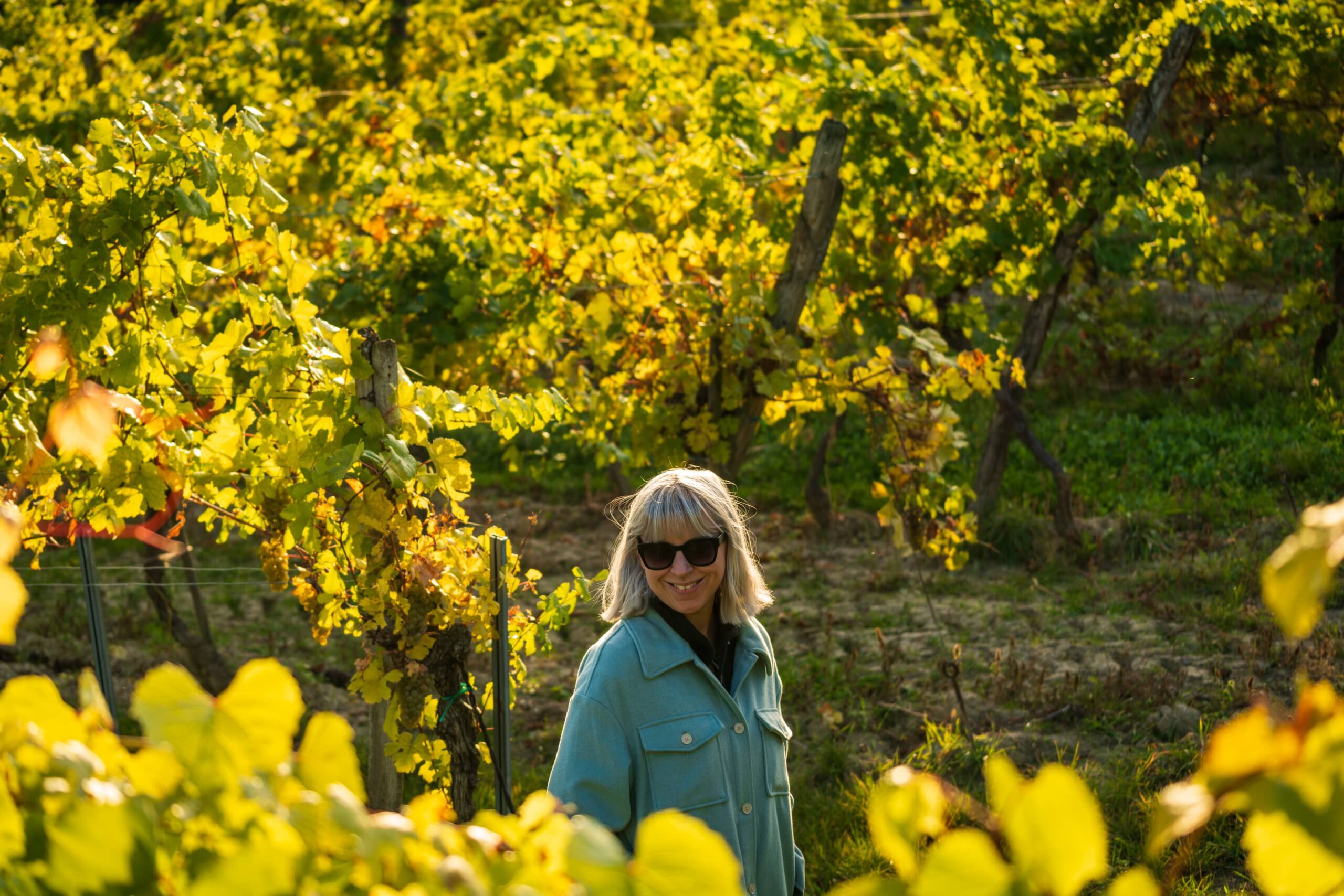 Caroline in the midst of golden vine leaves at Feuersbrunn vineyard