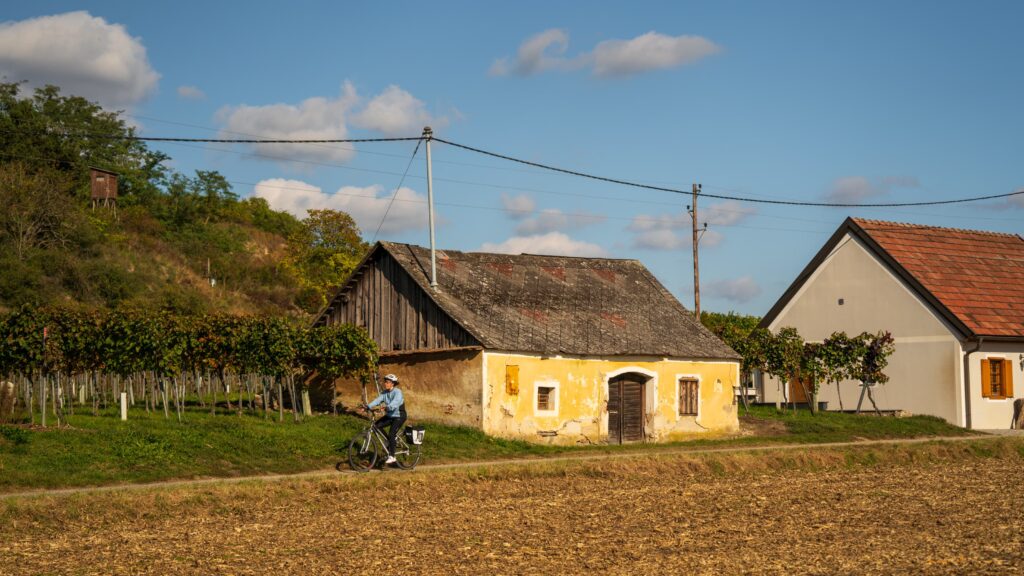 A cyclist passing by an old yellow wine cellar on Wora Kellergasse