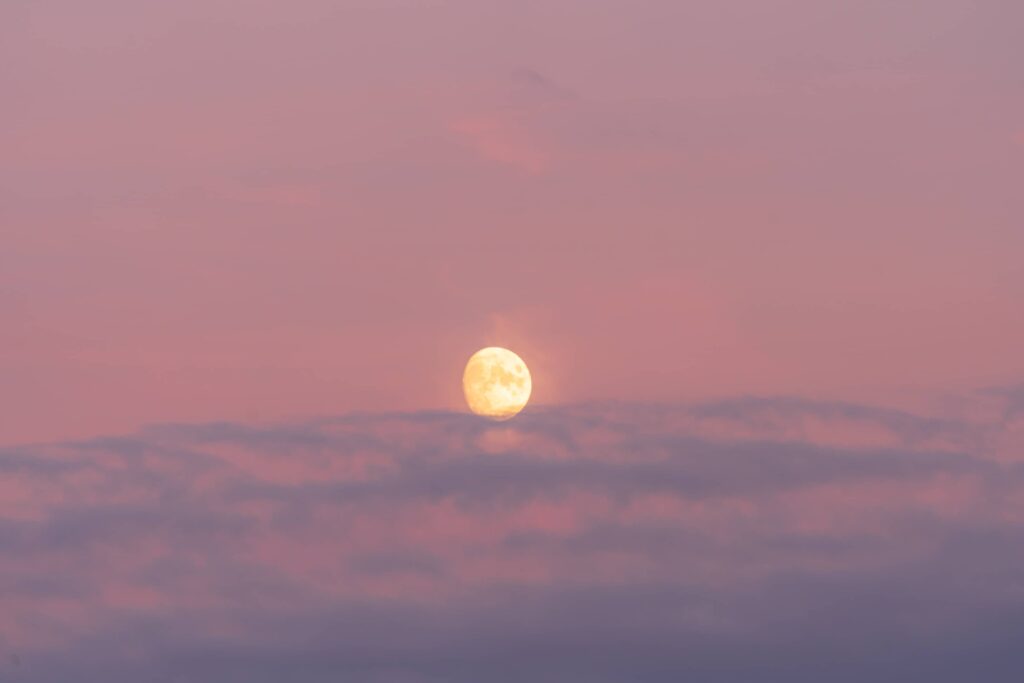 Golden moonrise during a pinky blue sunset in the vineyards of Feuersbrunn