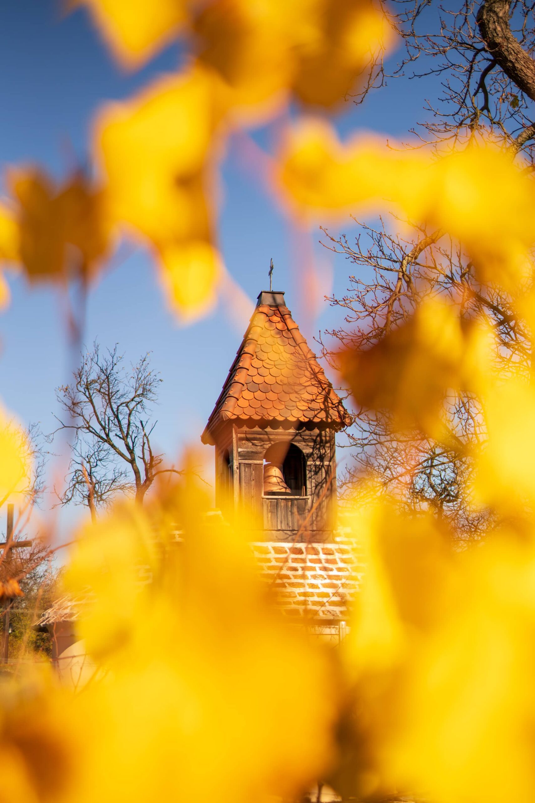 Maria am Stein church through golden autumnal leaves