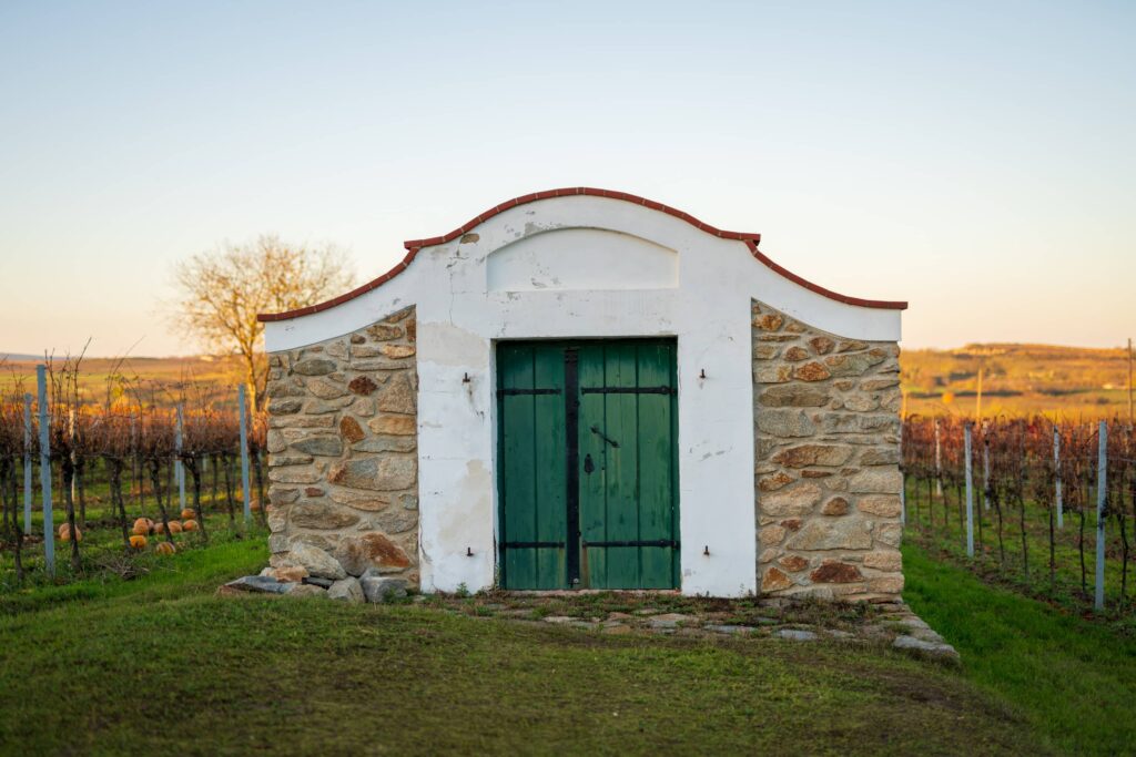 Stone wine cellar in autumnal vineyards Zellerndorf (Maulavern) Kellergasse