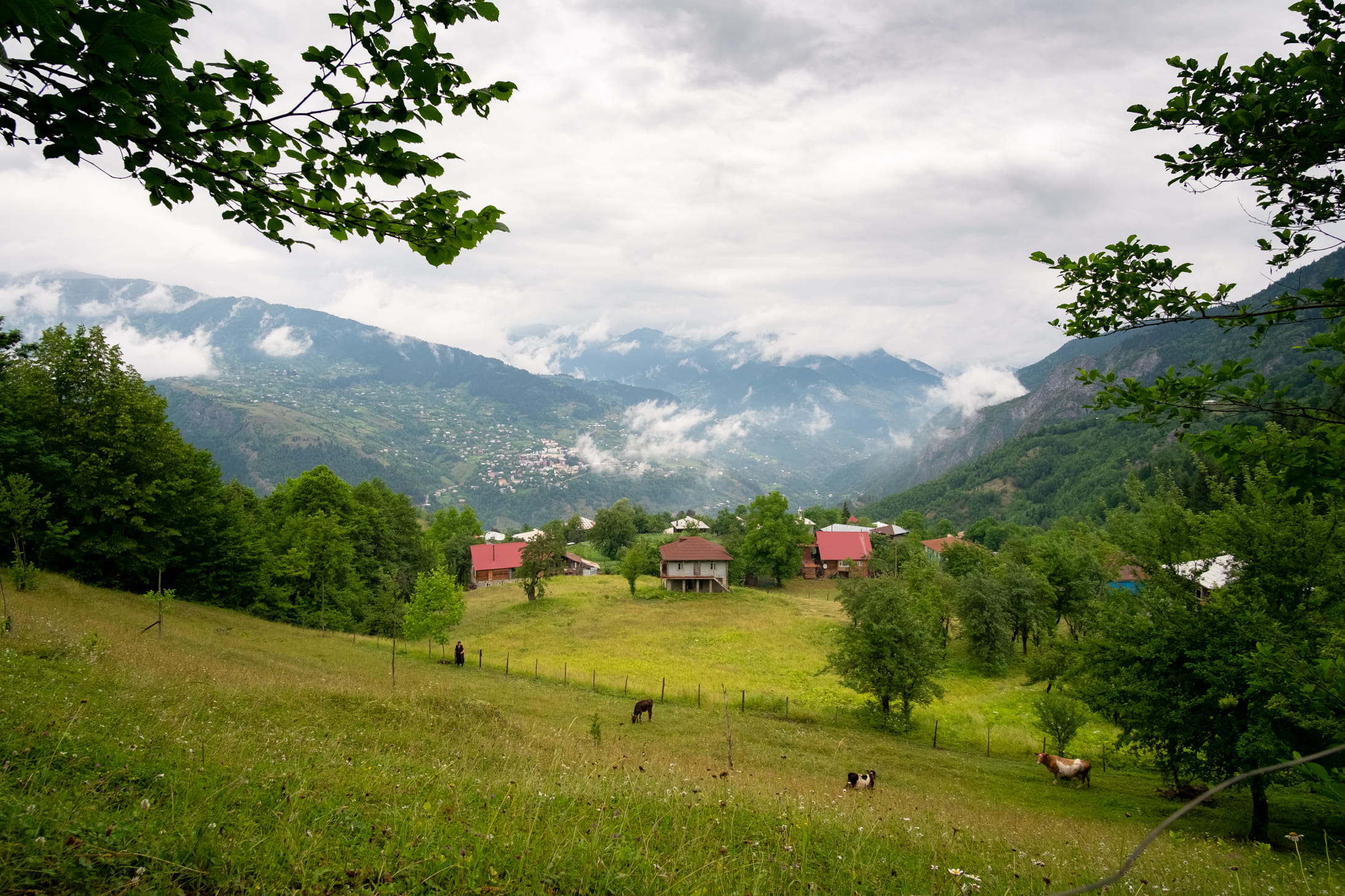 Tago village with woman working in the field with animals, Khulo and mountains in the background