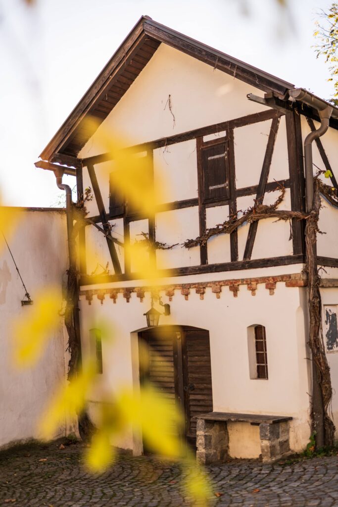 Big white wine cellar building with exposed timbers and autumn foliage at Große Kellertrift Haugsdorf