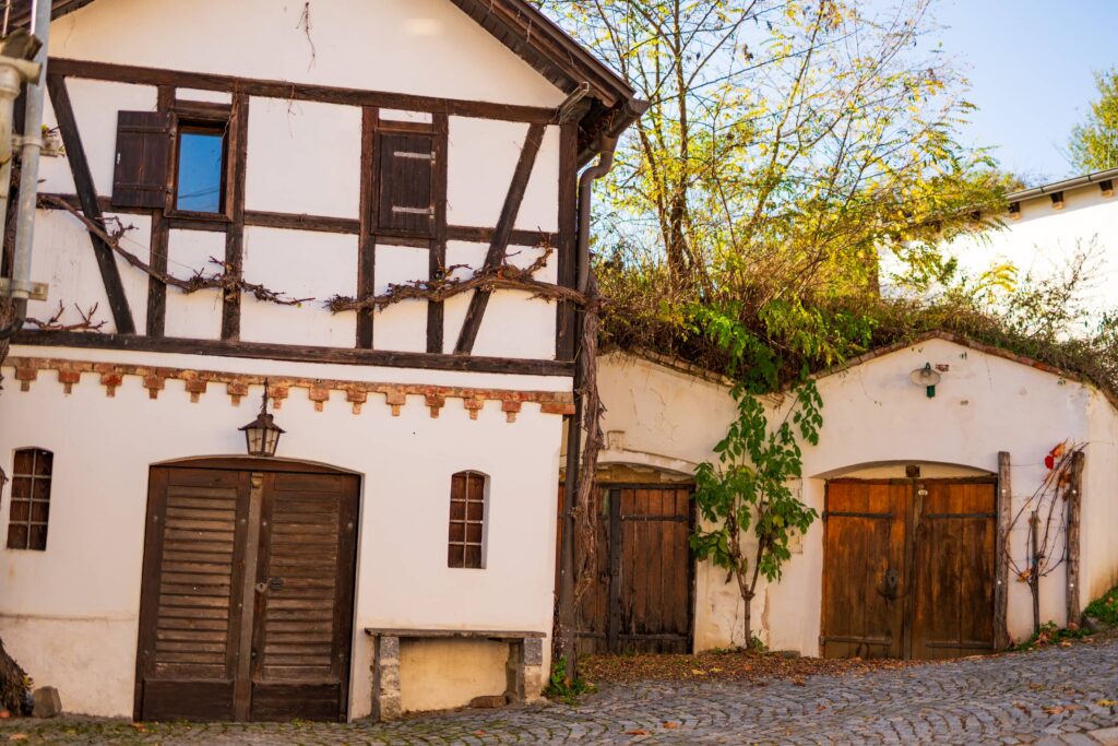 Big white wine cellar building with exposed timbers and adjacent side buidling at Große Kellertrift Haugsdorf