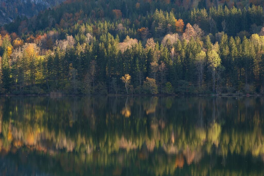 Autumnal forests reflecting in a calm lake Lunzer See